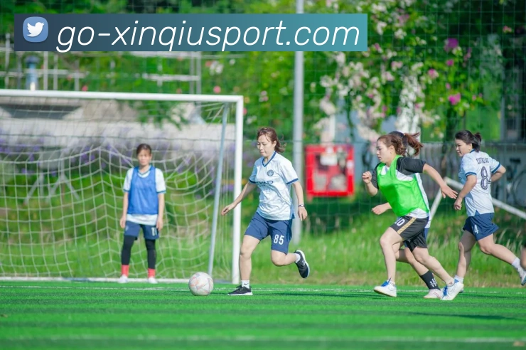 多媒体互动体验